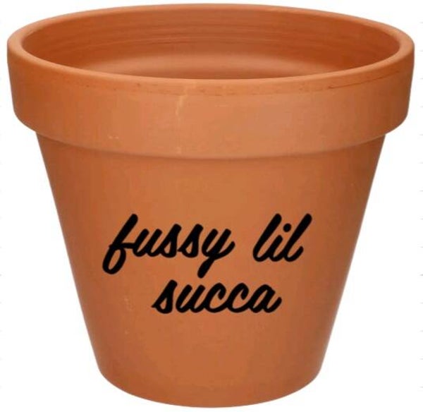 Fussy lil succa