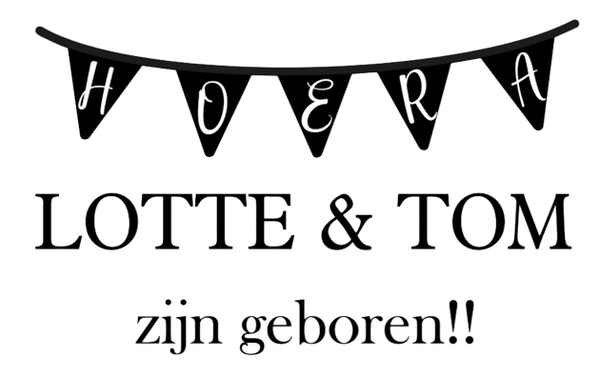 Geboorte sticker tweeling