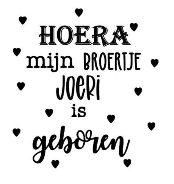 Hoera, mijn broertje ... is geboren!