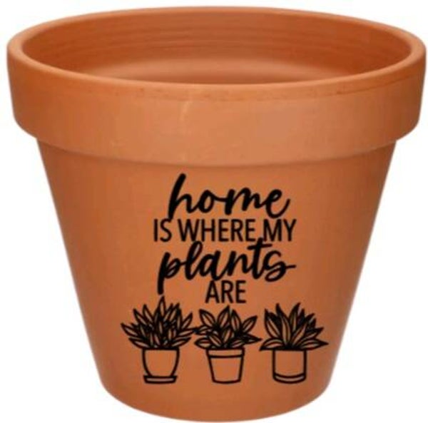 Home is where my plants are