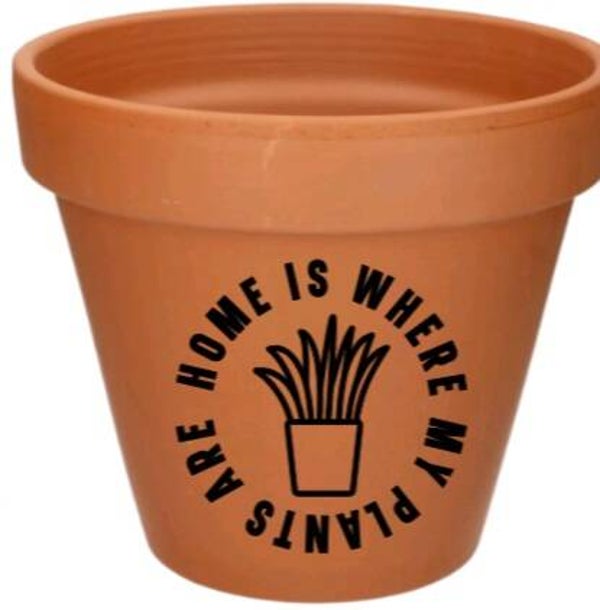 Home is where my plants are 2