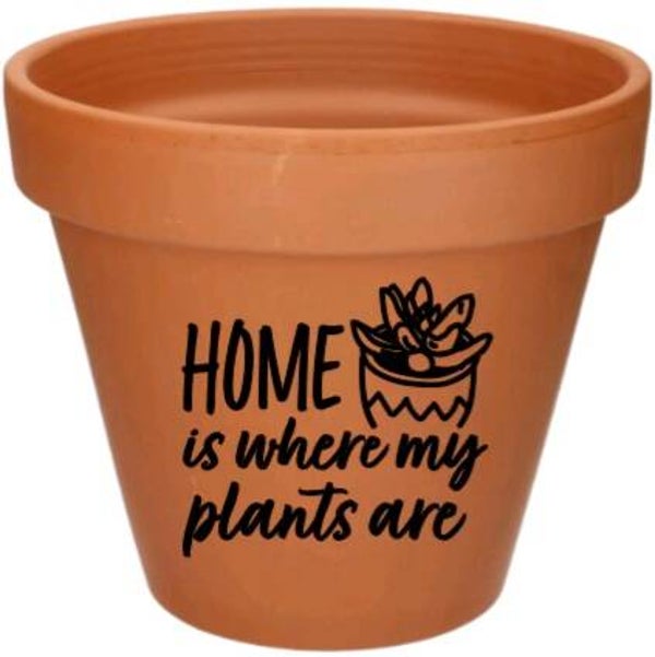 Home is where my plants are 4