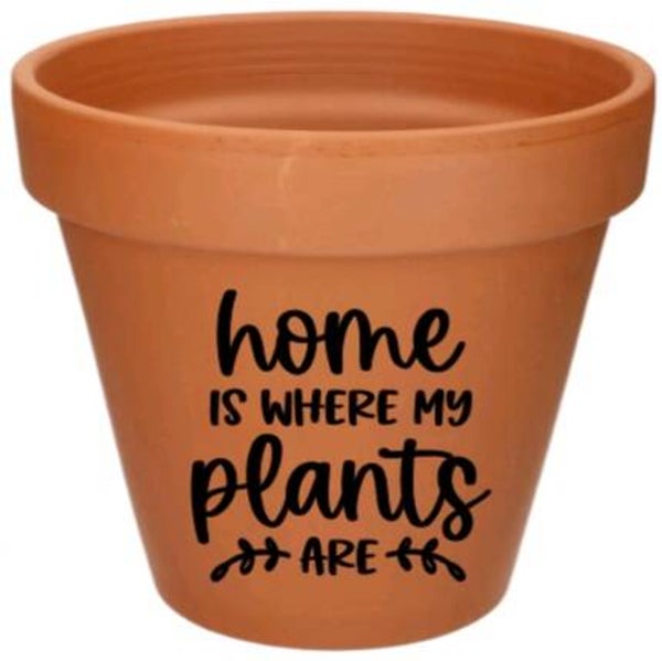 Home is where my plants are 3