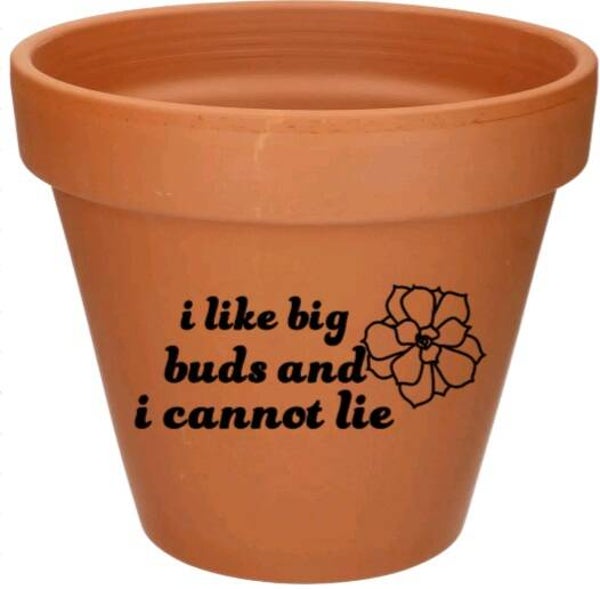 I like big buds and i cannot lie