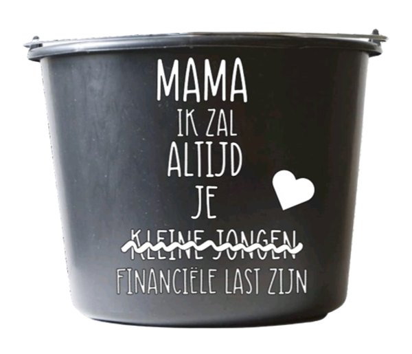 Mama ik zal altijd je kleine jongen / financiële last zijn