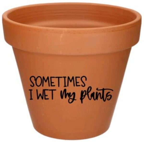 Sometimes i wet my plants