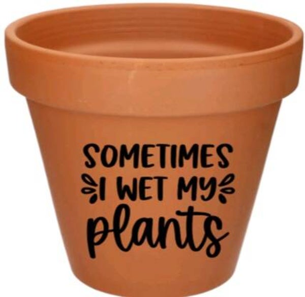 Sometimes i wet my plants 2