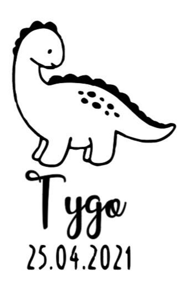 Dino, naam en geboortedatum