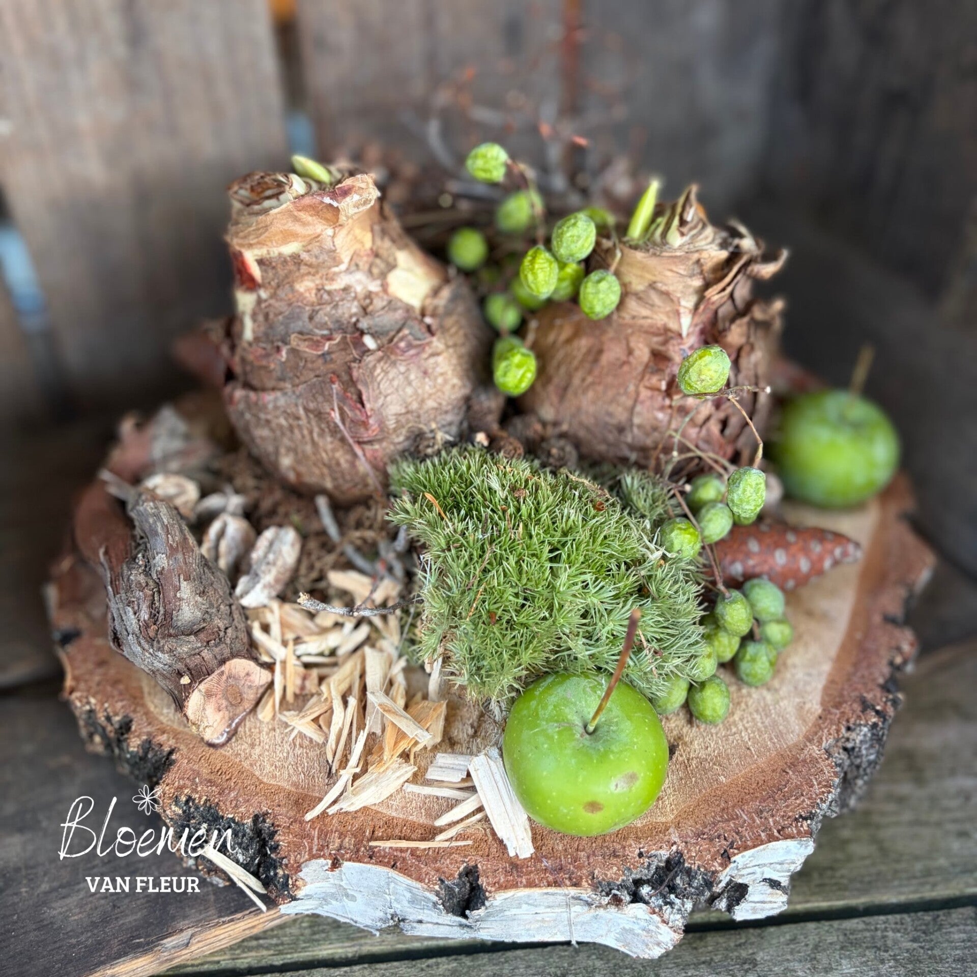 Amaryllis bol op houten schijf