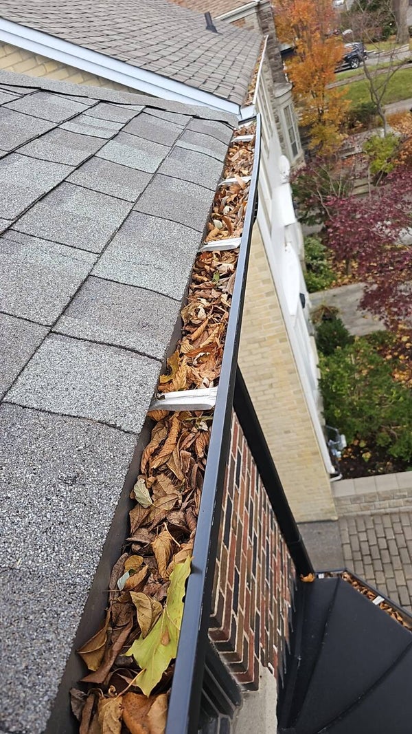 Gutter services