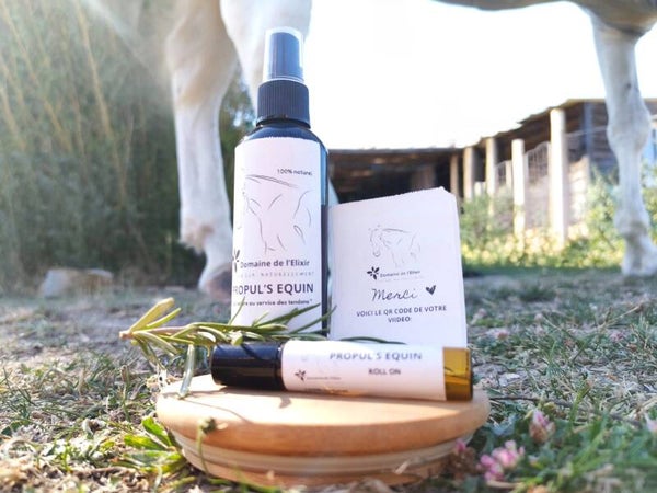 PACK RITUEL PROPUL'S EQUIN