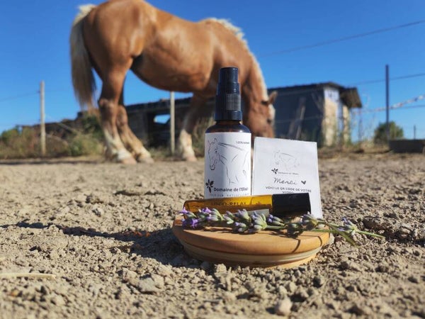 PACK RITUEL LOCORELAX' EQUIN