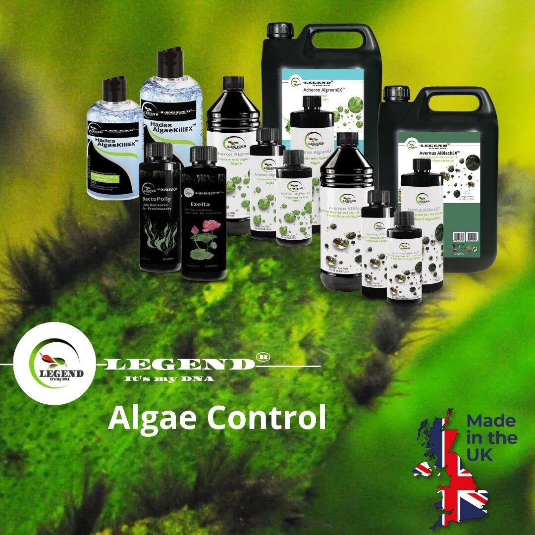 Algae Control | legendmydna