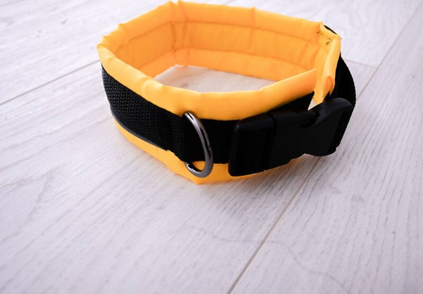Hundehalsband