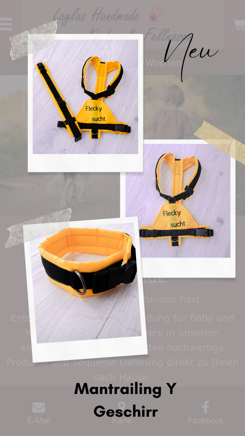 Mantrailing- Geschirr