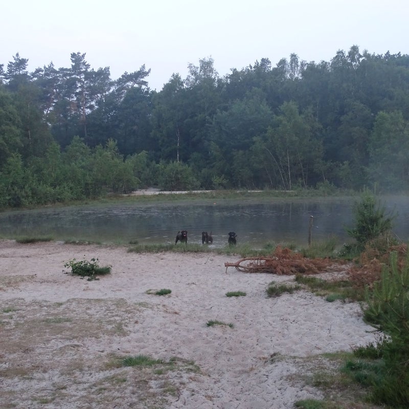 DSC01121-1.jpg