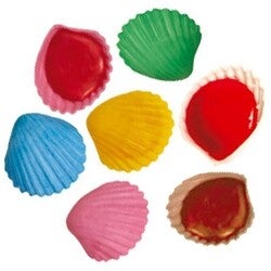 Coquillage roudoudou lot de 4
