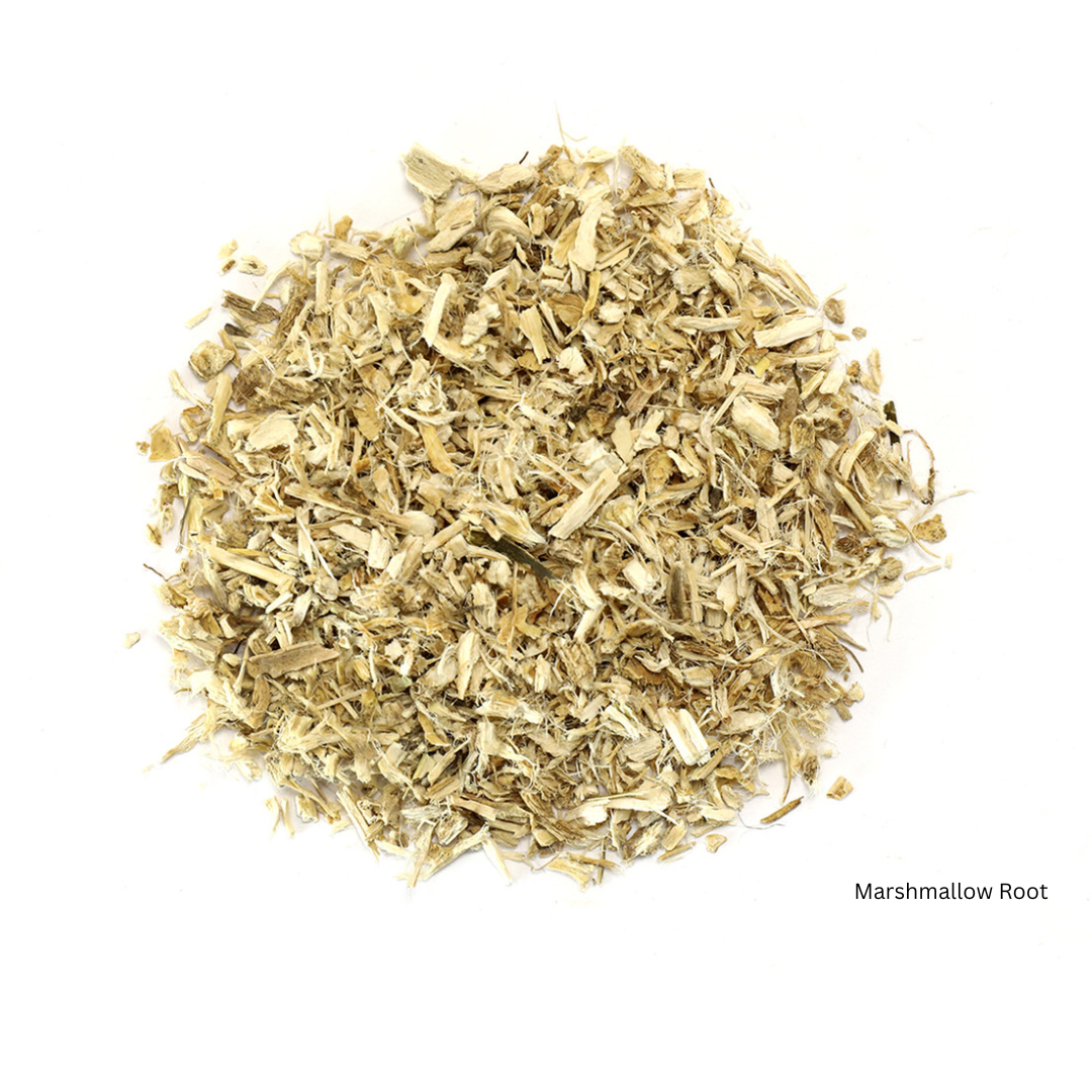 Loose Marshmallow Root – Althaea officinalis