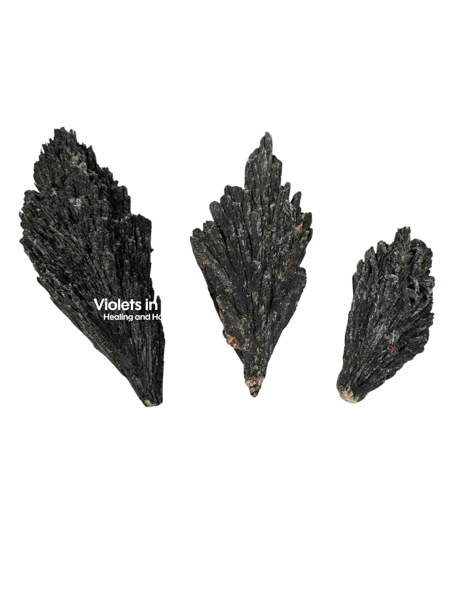 Black Kyanite Blades (Brooms)