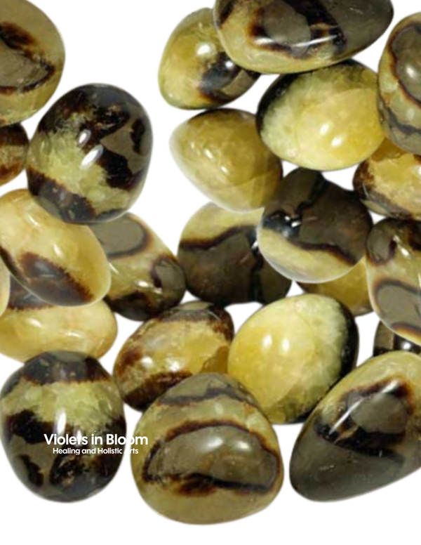 Septarian Nodlue Tumbles