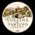 La collina del tartufo experience