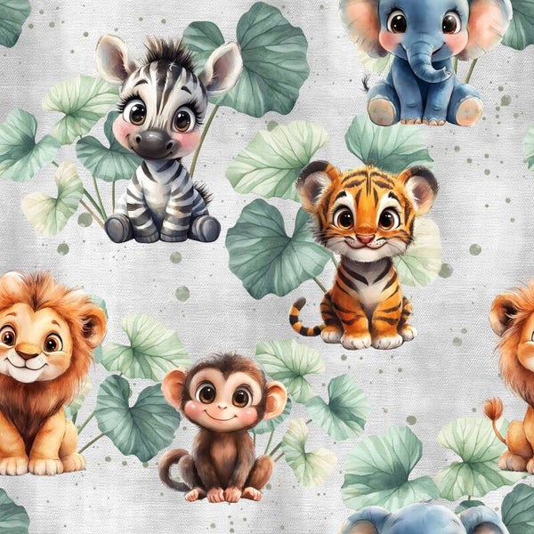 Safari