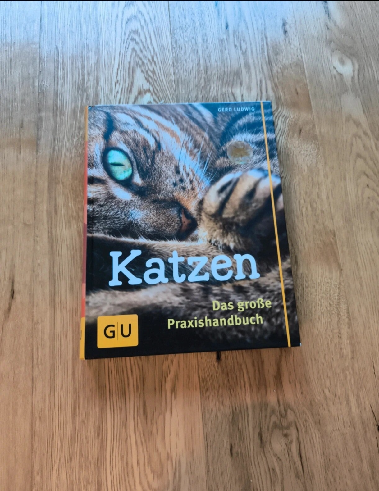 Buch Katzen
