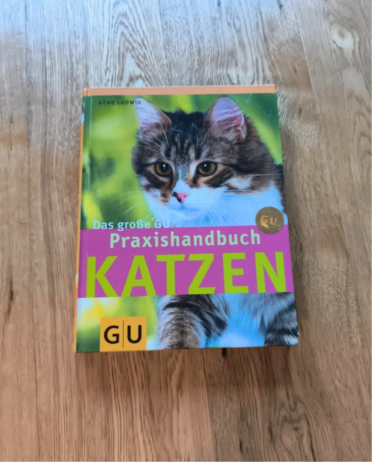 Buch Katzen