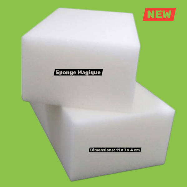 EPONGE MAGIQUE par 10