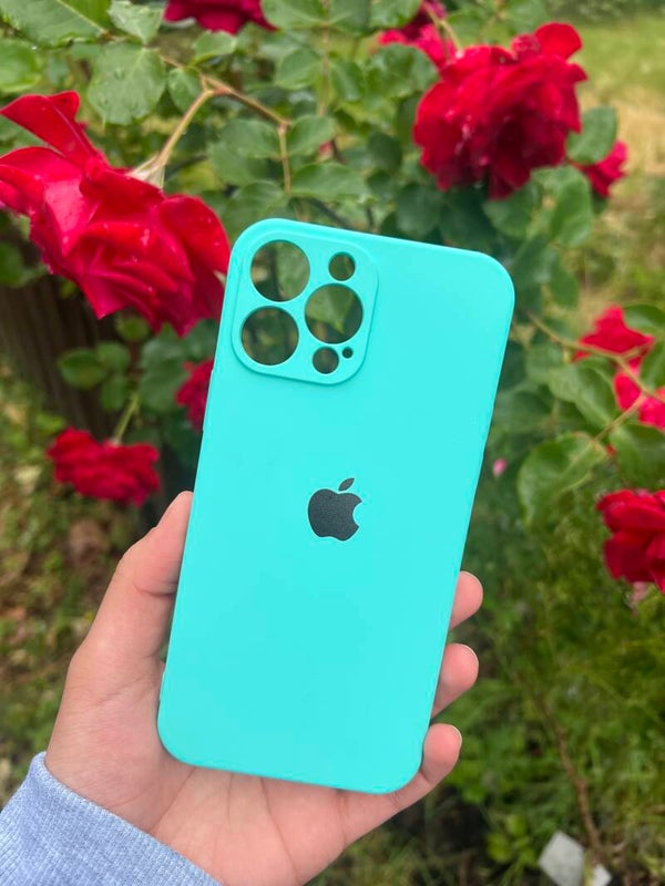 iPhone 13 Pro Max Hülle