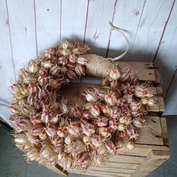 Juffertje in het groen krans