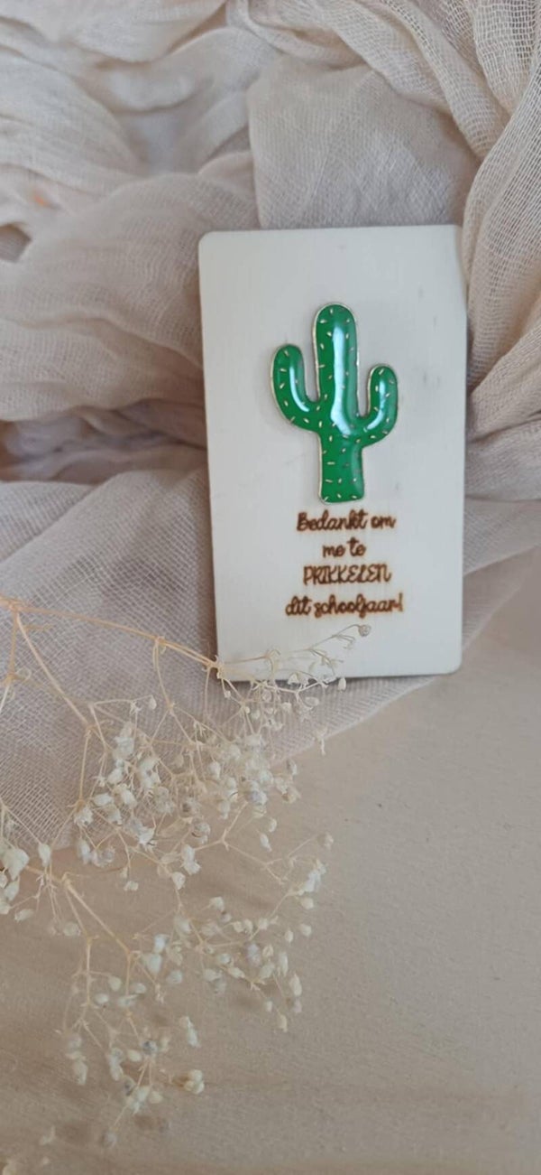 Prikkel bedankje cactus einde schooljaar