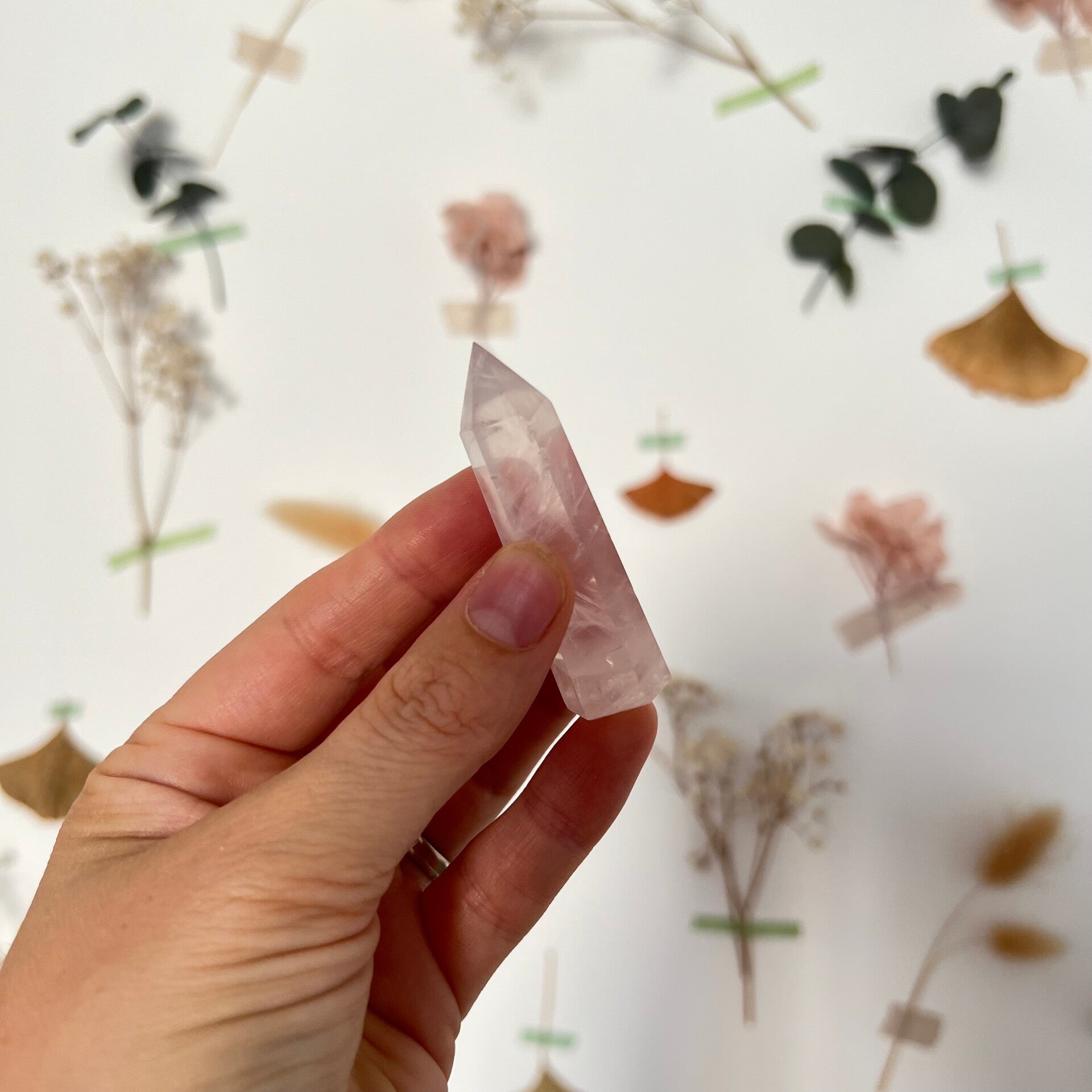 Quartz rose, pointe