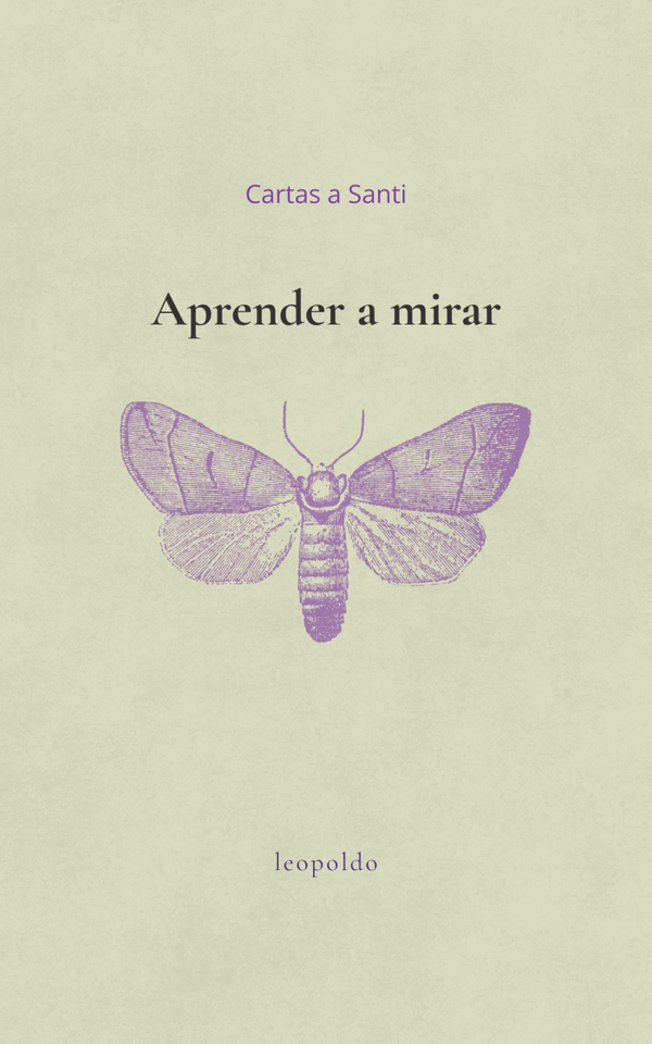 Aprender a Mirar. Cartas a Santi