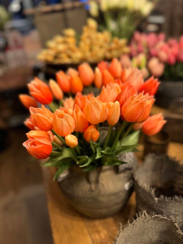 Neptulpen mini esmee