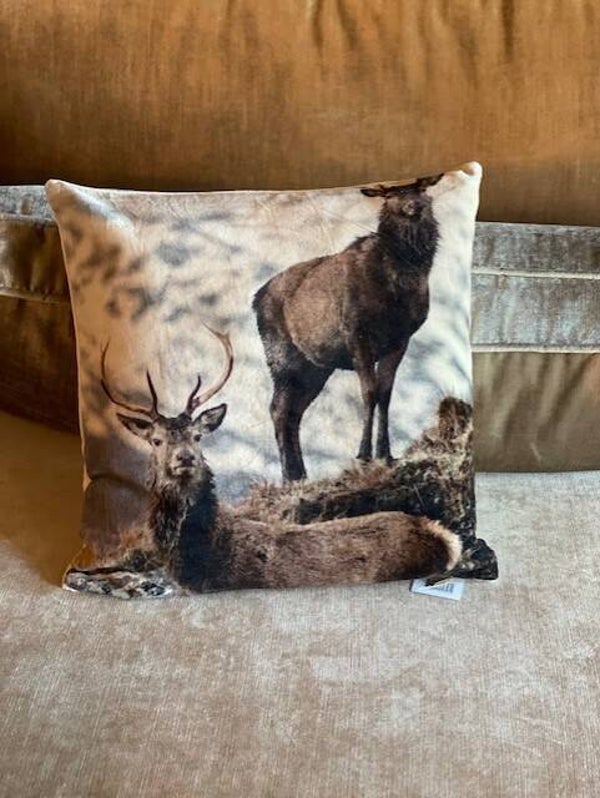 Velvet kussen hert