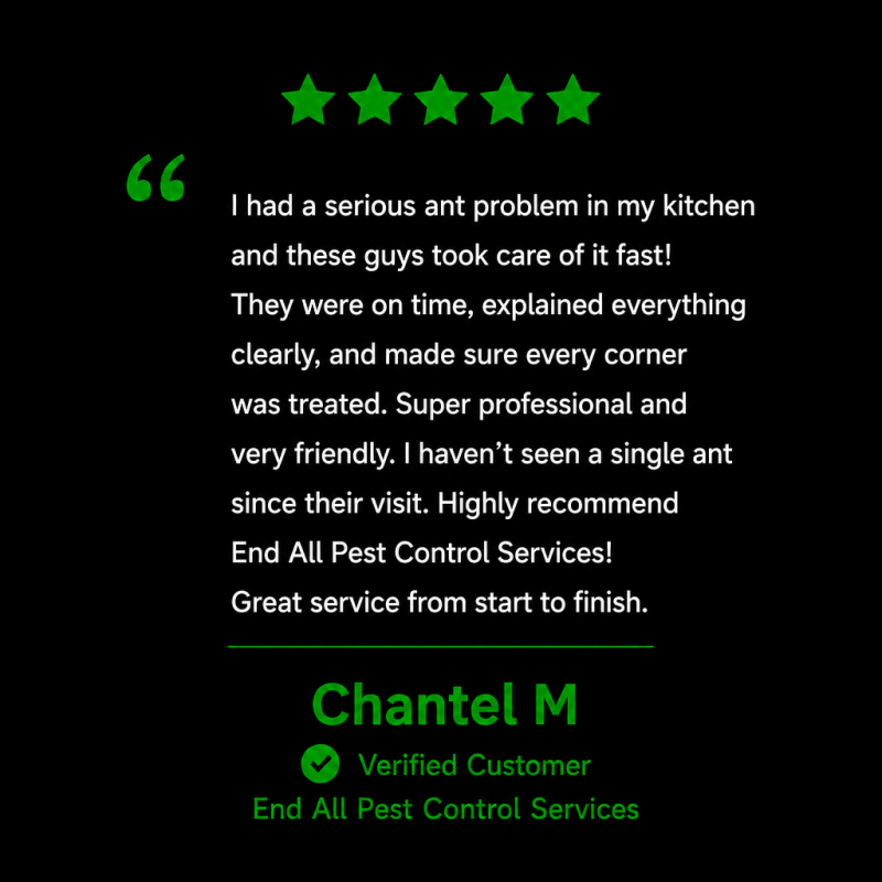 licensed rodent control, pest control for rodents, rodent infestation removal, rodent cleanup, rodent droppings cleanup, commercial rodent control, residential rodent control, Kawartha Lakes rodent control, Simcoe County rodent control, Muskoka 