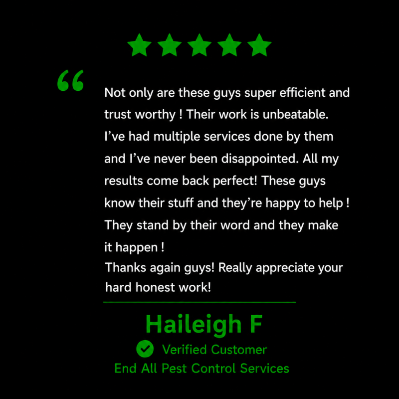 Rodent control, rodent removal, rodent exterminator, rodent extermination, mice control, mouse removal, mouse exterminator, rat control, rat removal, rat exterminator, rodents in attic, rodents in walls, mice in attic, rats in attic, rodent inspection