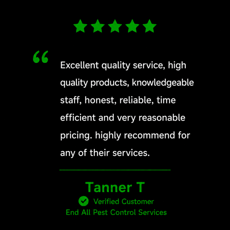 Wildlife removal, wildlife removal near me, emergency wildlife removal, humane wildlife removal, licensed wildlife removal, wildlife control service, animal removal service, raccoon removal, raccoon in attic removal, squirrel removal, squirrel in attic,