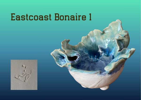 Eastcoast Bonaire 1