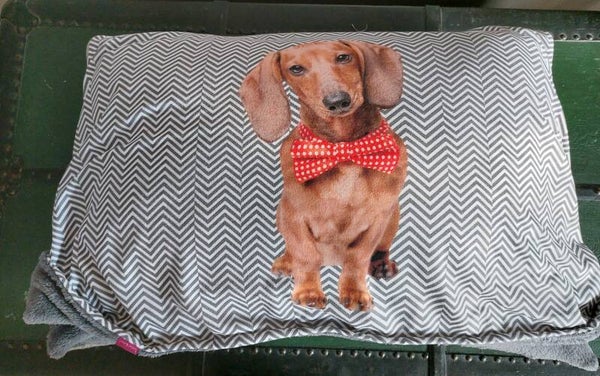 Honden mandje/kussen Teckel