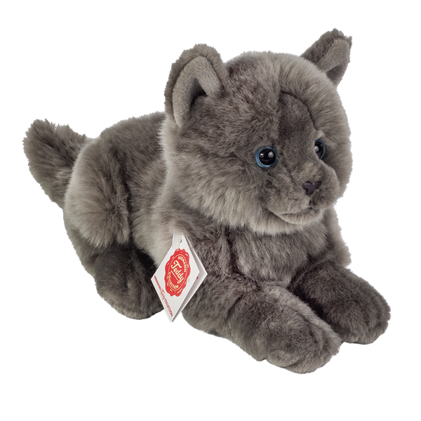 Liggende kartuizerkat 20 cm