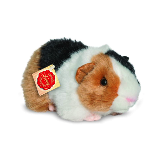 Driekleurige cavia 20 cm