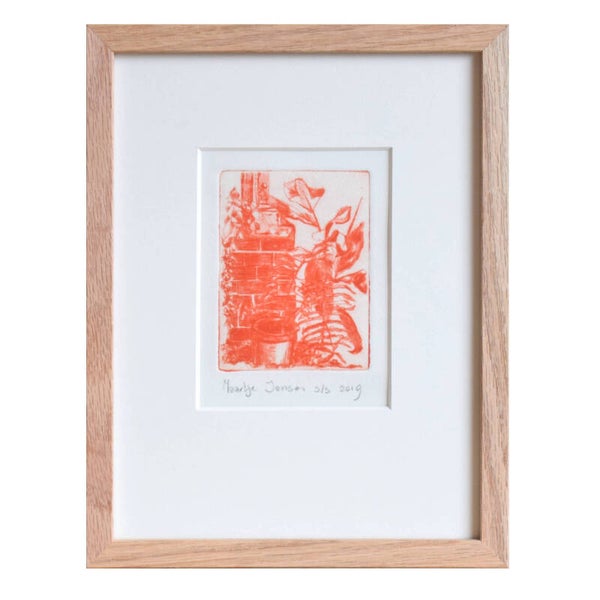 Groeiend kruid - droge naald druk