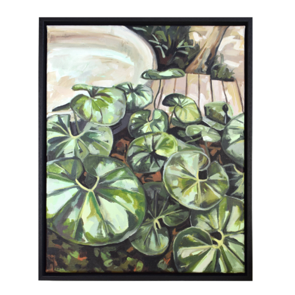 Groot gebladerte (Farfugium Japonicum) - schilderij