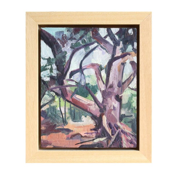 Klimboom - schilderij