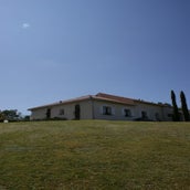 image11.jpeg