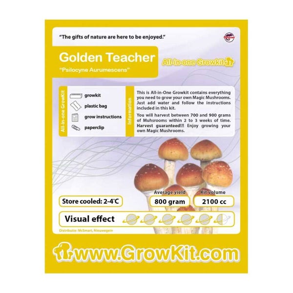 Golden Teacher Growkit - 2100 cc