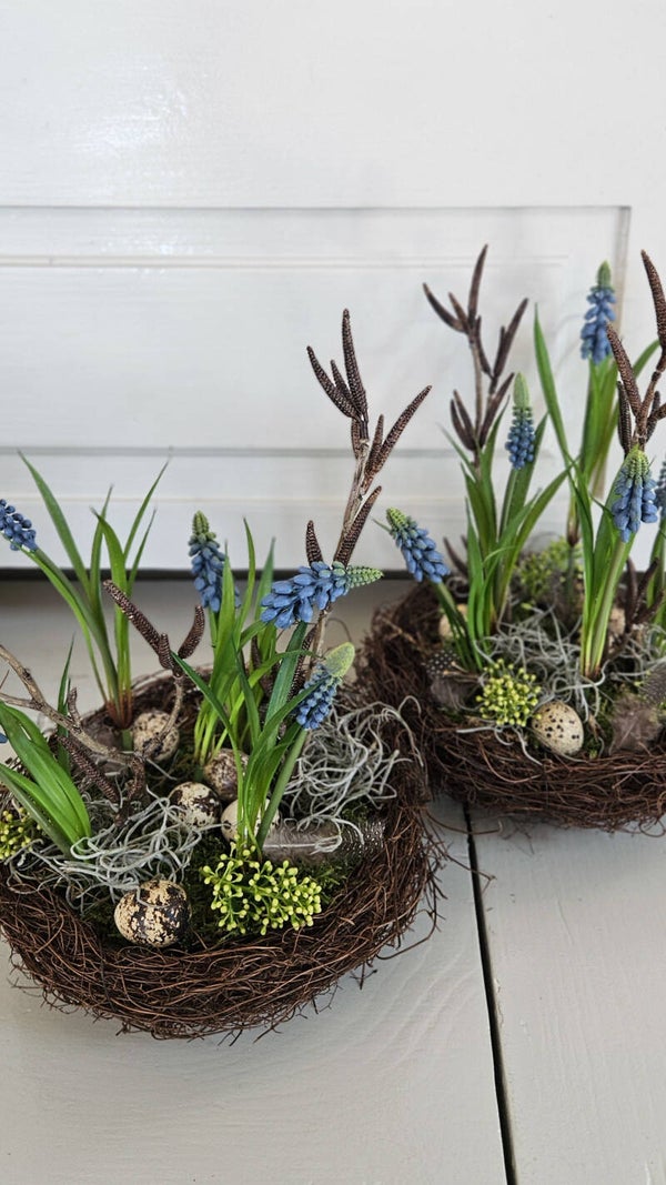 Voorjaarsnestje met blauwe druifjes