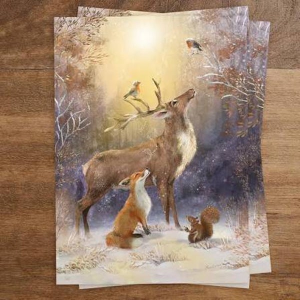Winter Wonders